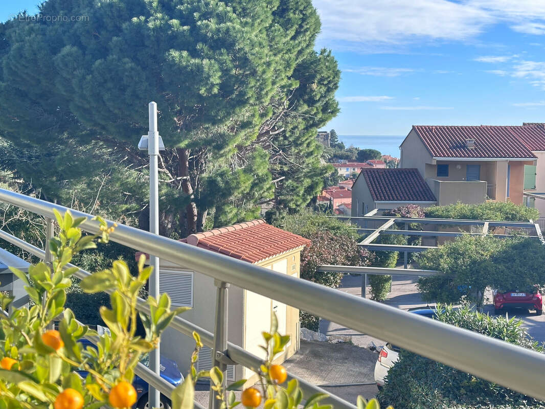 Maison à COLLIOURE