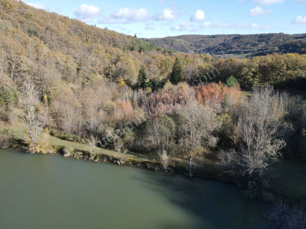 Propriété de 9,34 ha avec deux lacs - photo 5