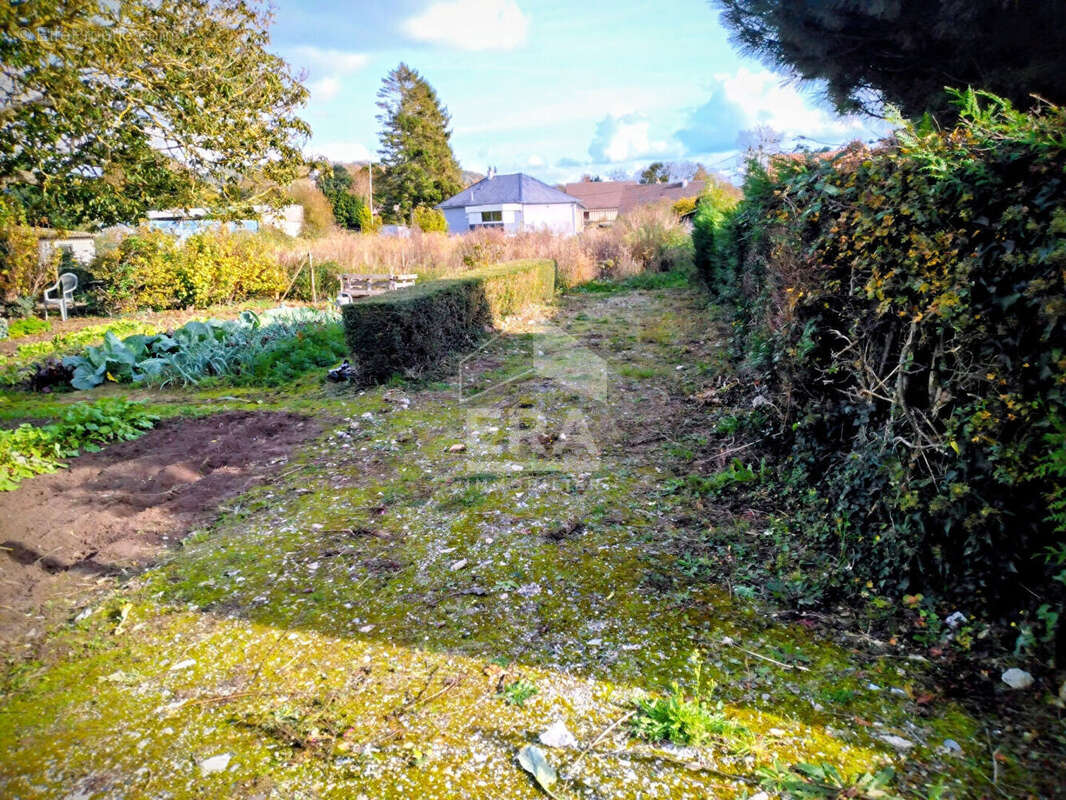 Terrain à BELLENGREVILLE