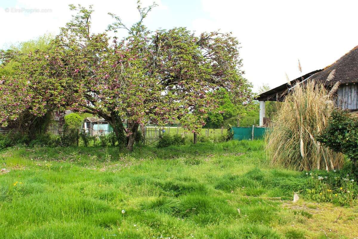 Maison spacieuse & Grand terrain - photo 15
