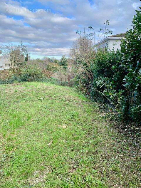   - Terrain à TOULOUSE