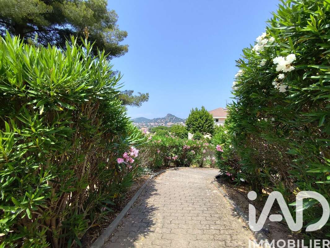 Photo 8 - Appartement à HYERES