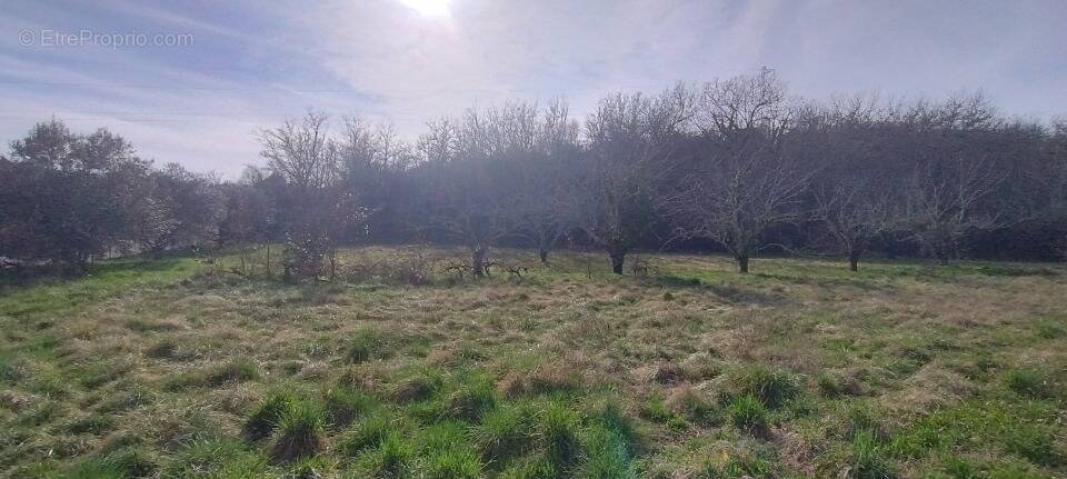 Terrain à ORGNAC-L'AVEN