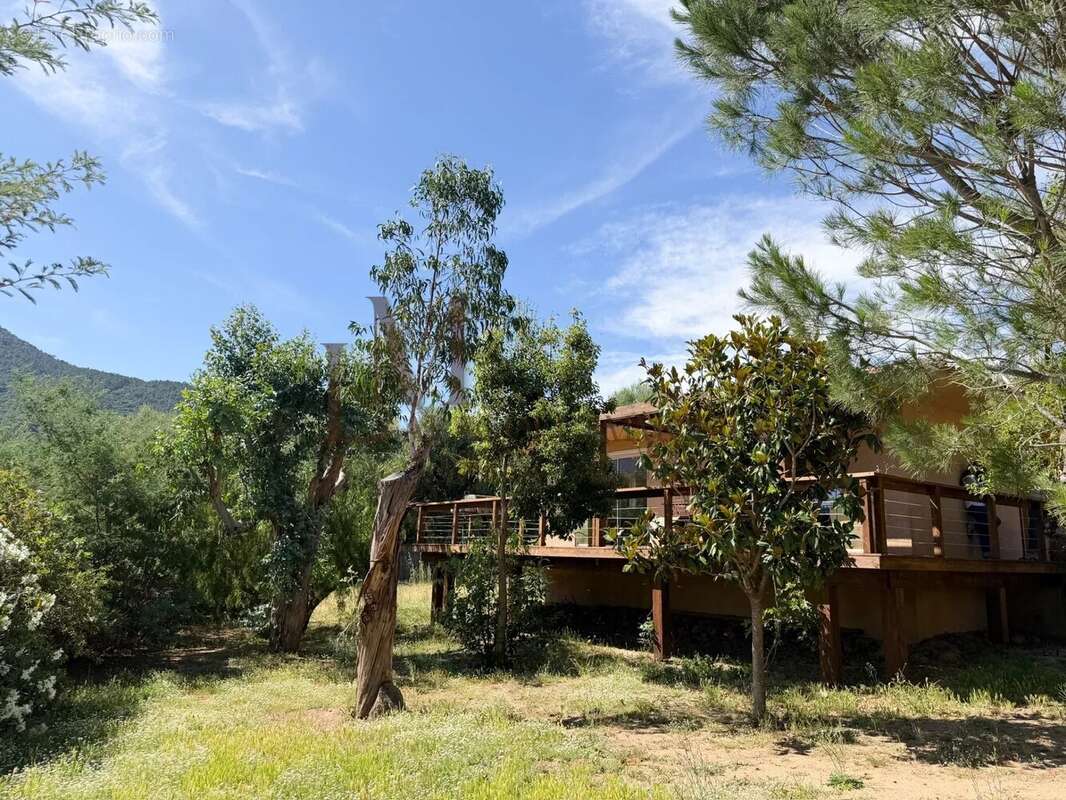 Villa T3 - Terrains 1 500 m2 - Porto-Vecchio - photo 5