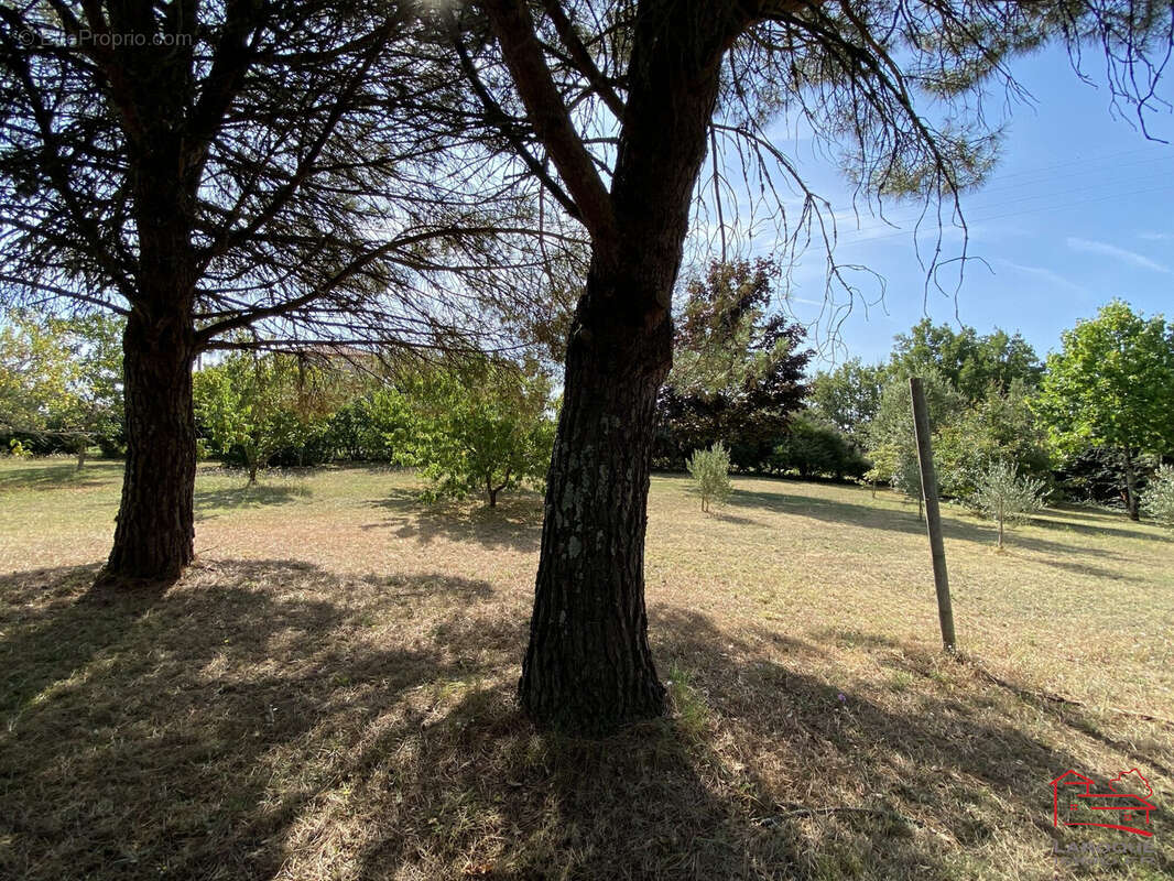Maison à LAROQUE-TIMBAUT