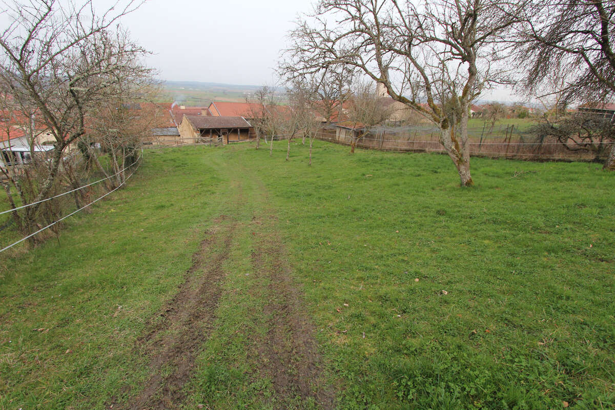Maison à MONT-LE-VIGNOBLE