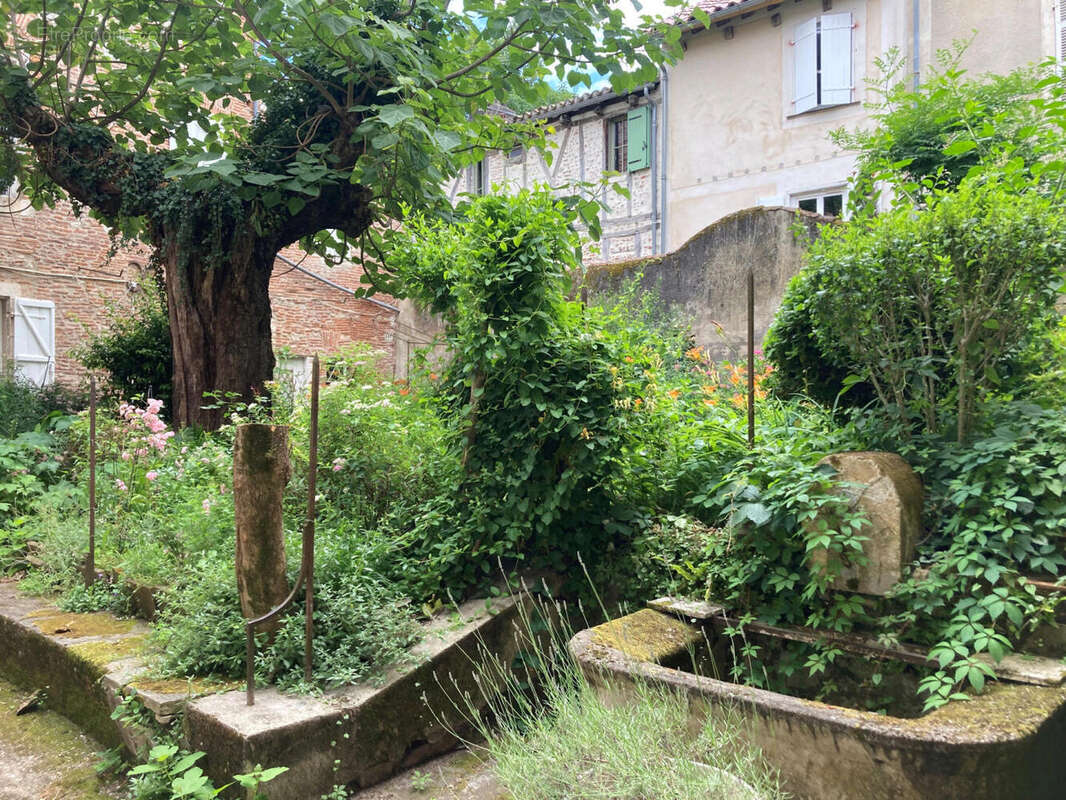 jardin bis - Appartement à CAHORS