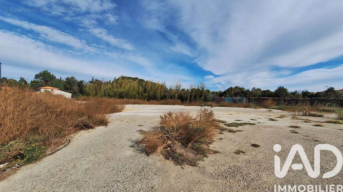 Photo 2 - Terrain à ELNE