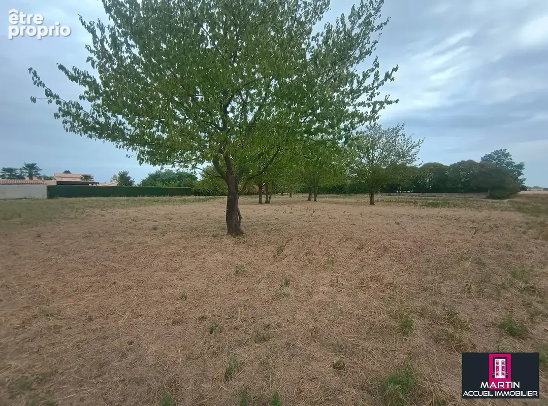 'La clé des champs' - photo 4