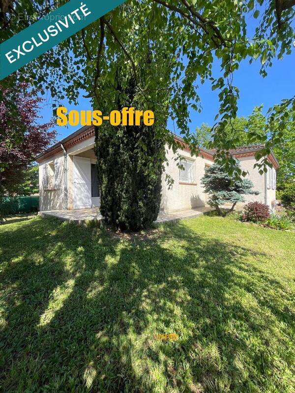 Photo 1 - Maison à ALBI