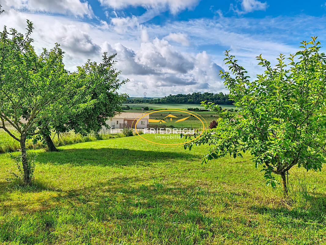 Terrain à SAMPIGNY