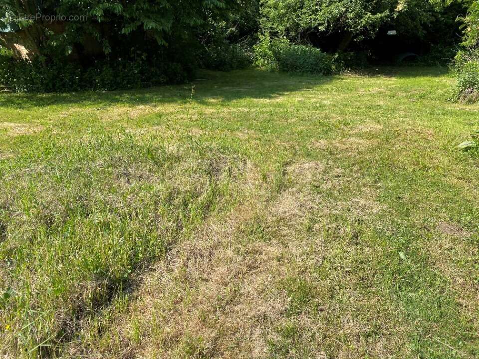 Terrain à VULAINES-SUR-SEINE
