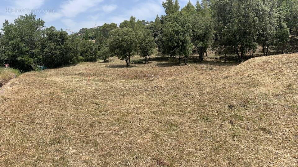 Terrain à TARADEAU