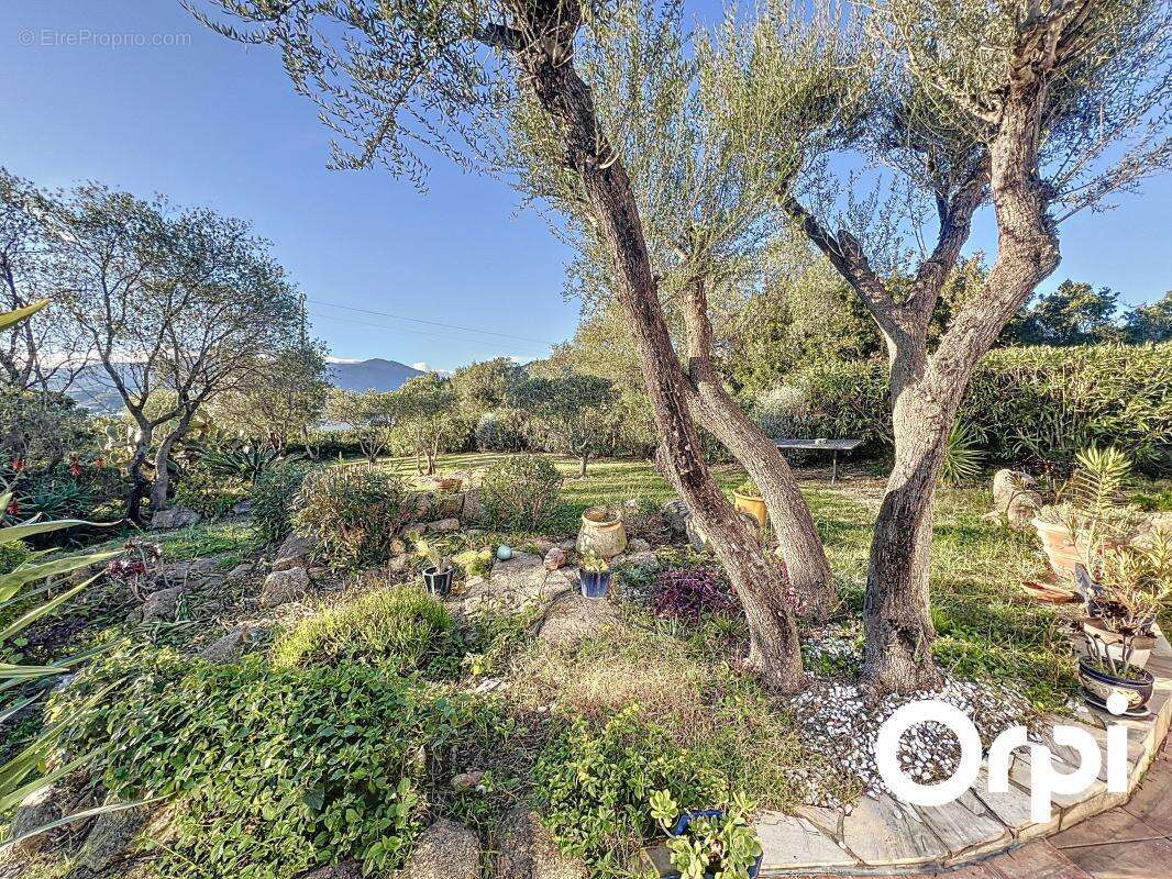 Maison à PORTO-VECCHIO