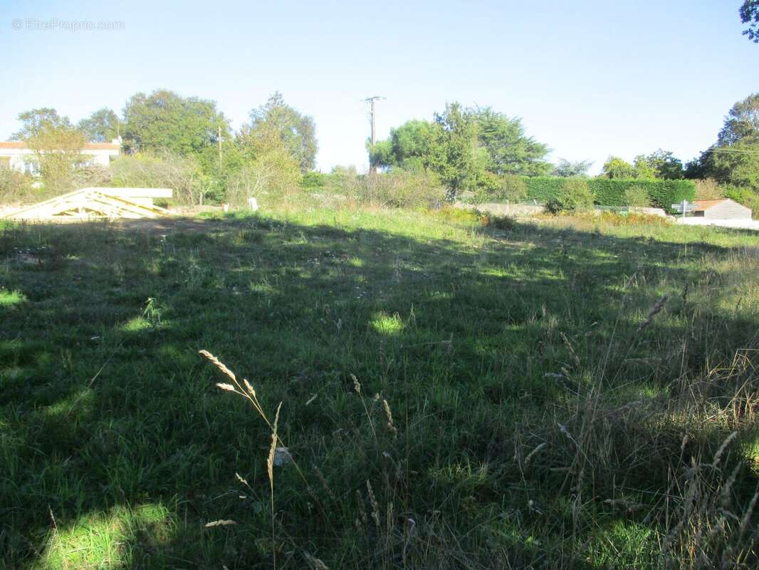 Terrain à VAIRE