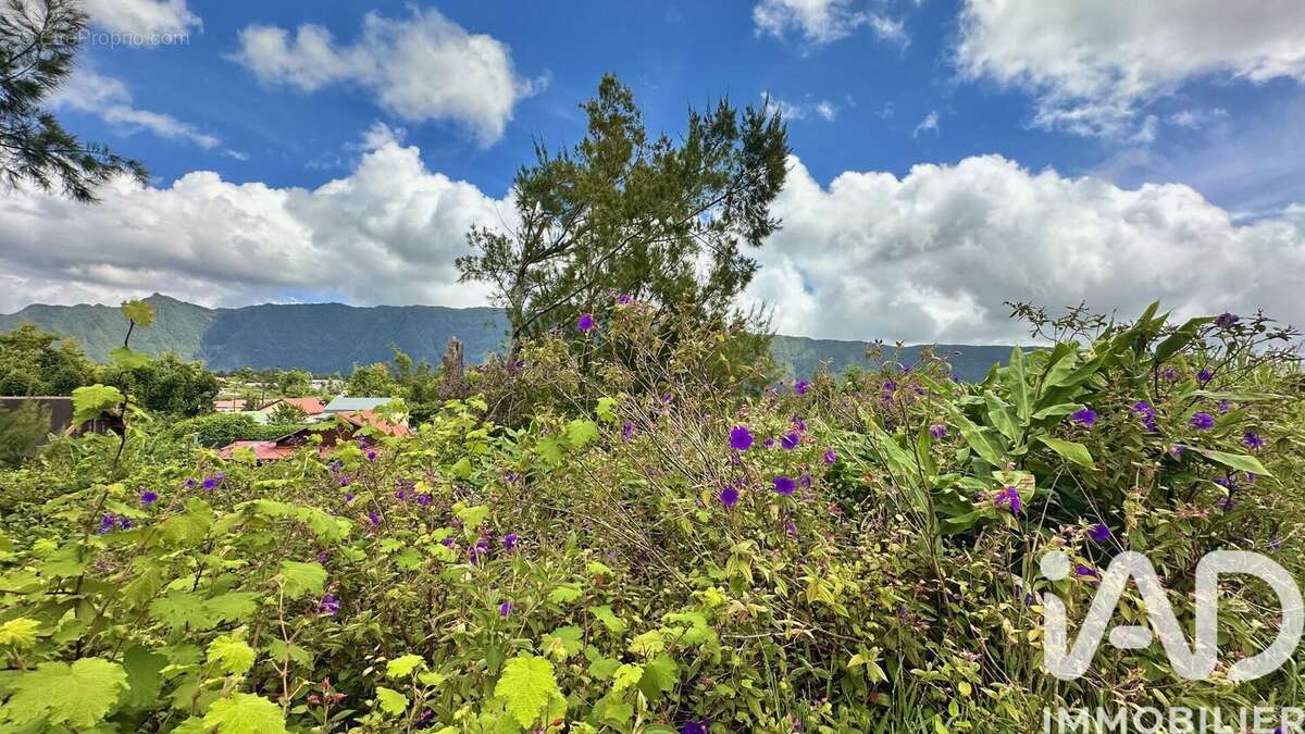 Photo 3 - Terrain à LA PLAINE-DES-PALMISTES