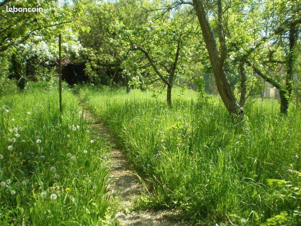 Terrain à SAINTRY-SUR-SEINE