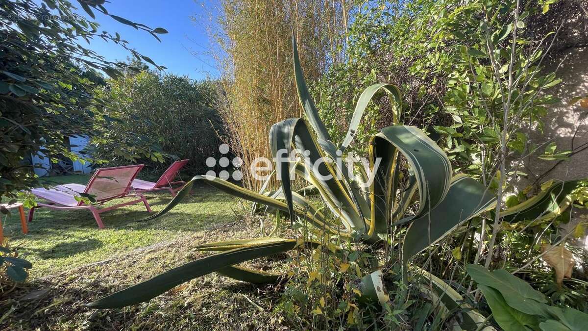 Maison à SAINT-GEORGES-D&#039;OLERON
