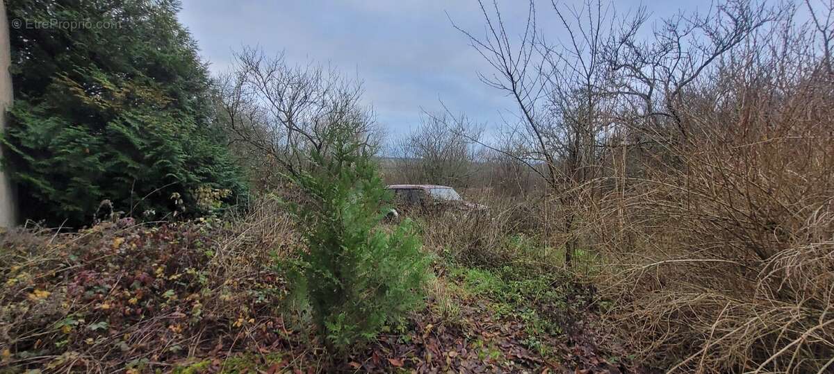 Maison à LANEUVEVILLE-EN-SAULNOIS