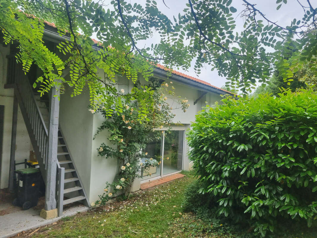 Maison à BAZAS