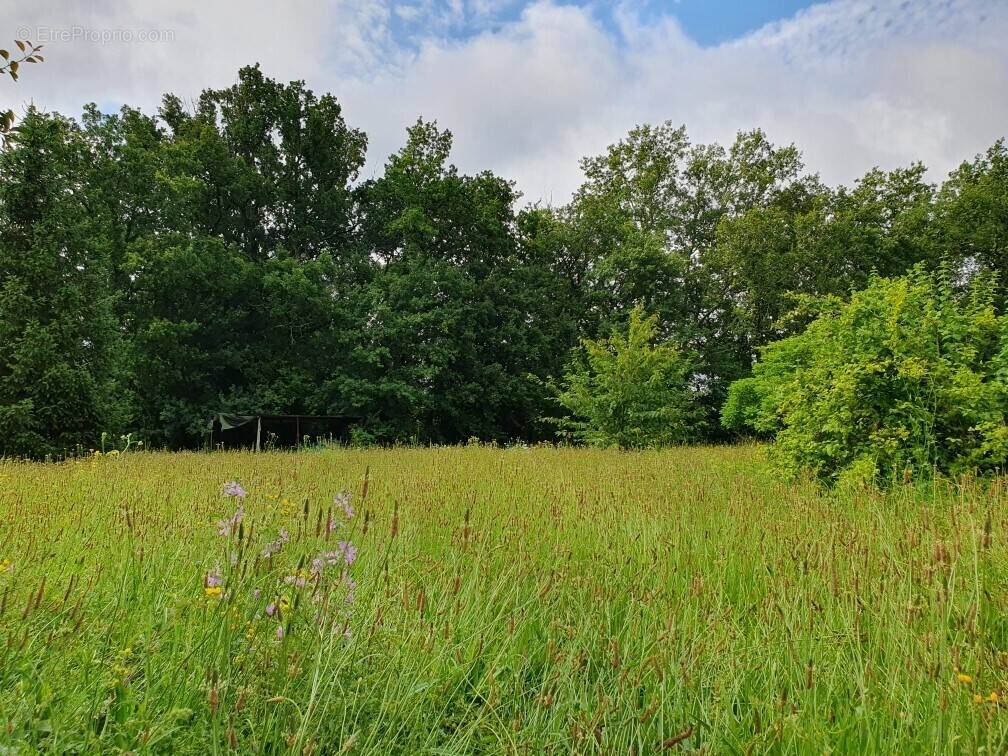 Terrain à SAINT-MICHEL-DE-MONTAIGNE