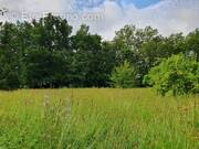 Terrain à SAINT-MICHEL-DE-MONTAIGNE