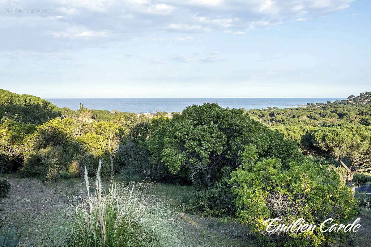 Terrain à SAINTE-MAXIME