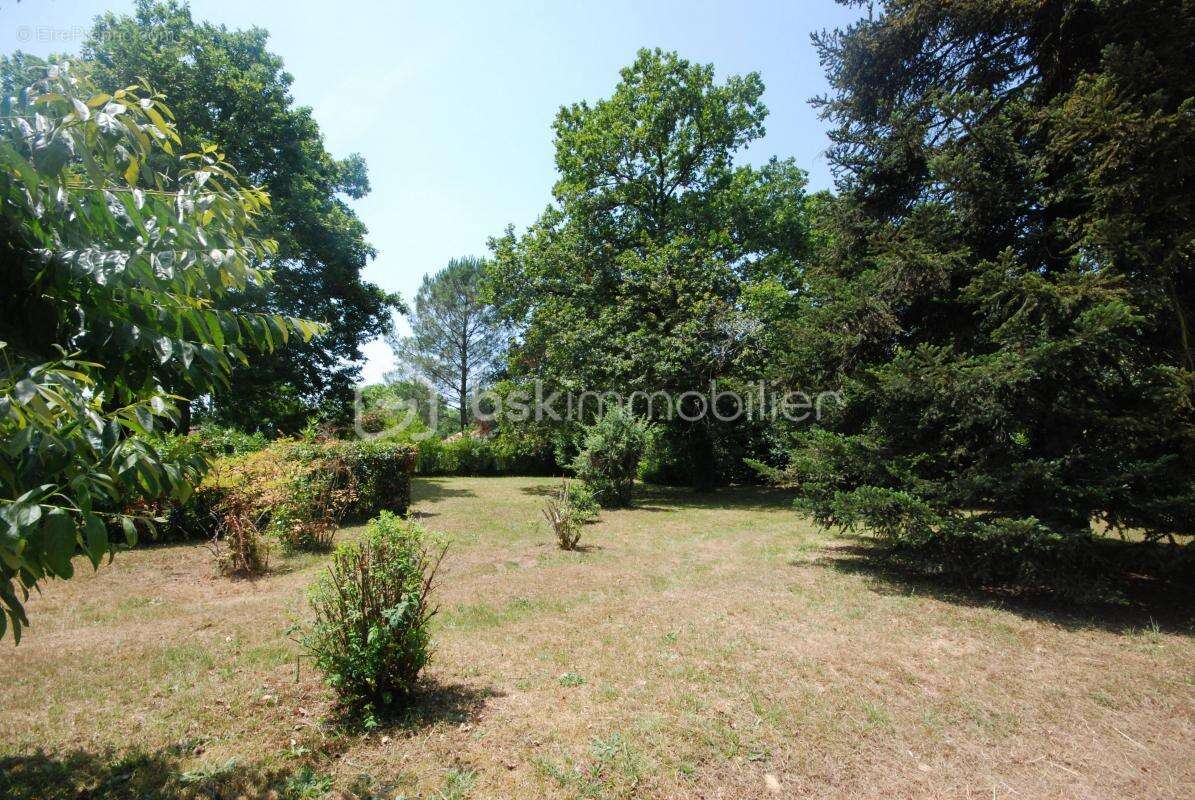 Exceptionnel terrain de 800m² dans la paisible campagne des Landes - photo 2