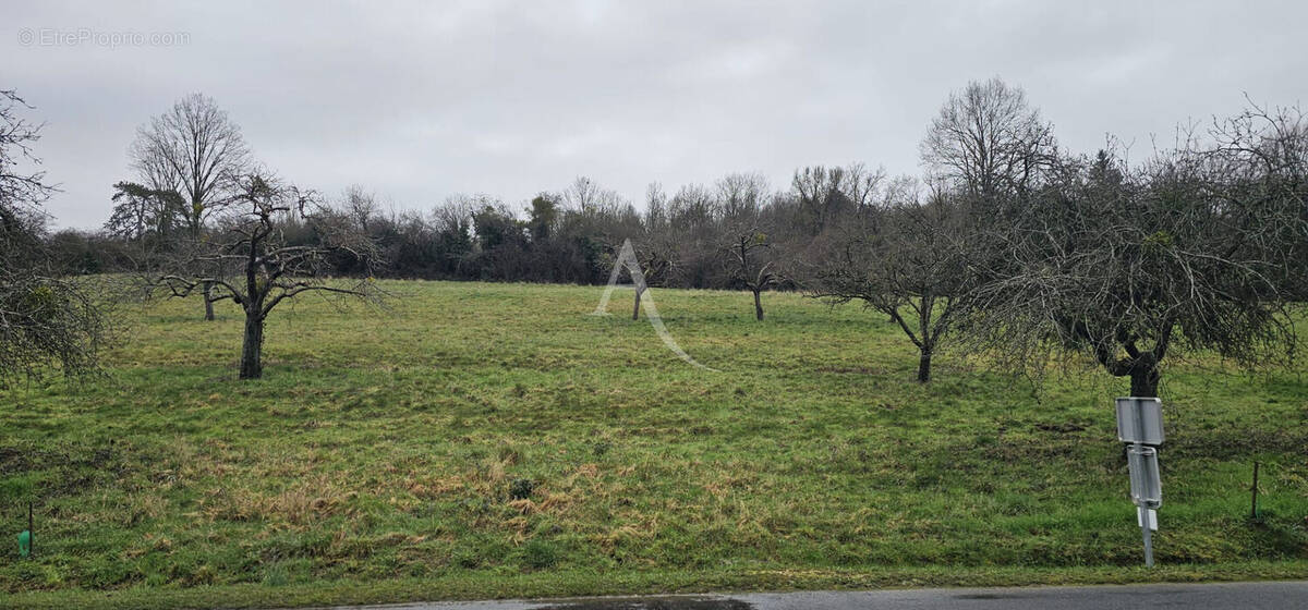 Terrain à SAINT-CYR-SUR-MORIN