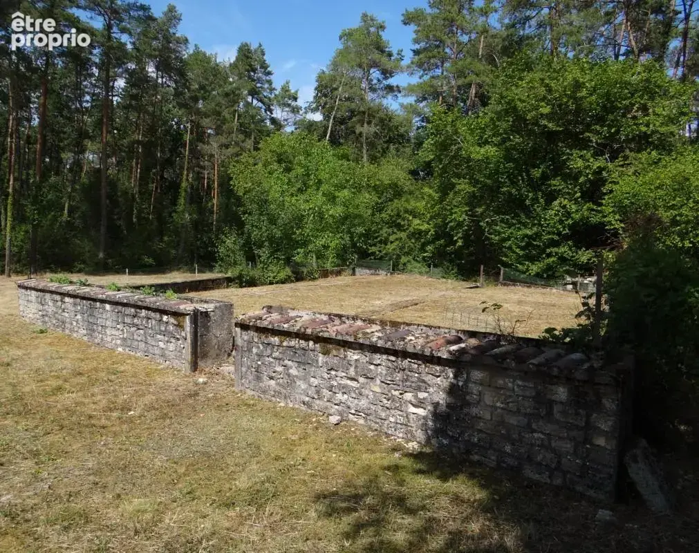 Petit Paradis ! (52) - photo 3