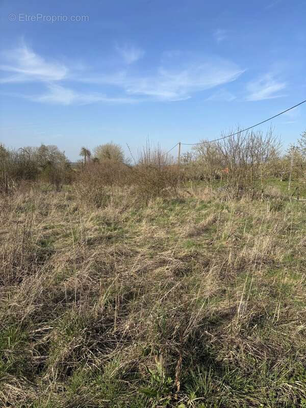 Terrain à WATRONVILLE