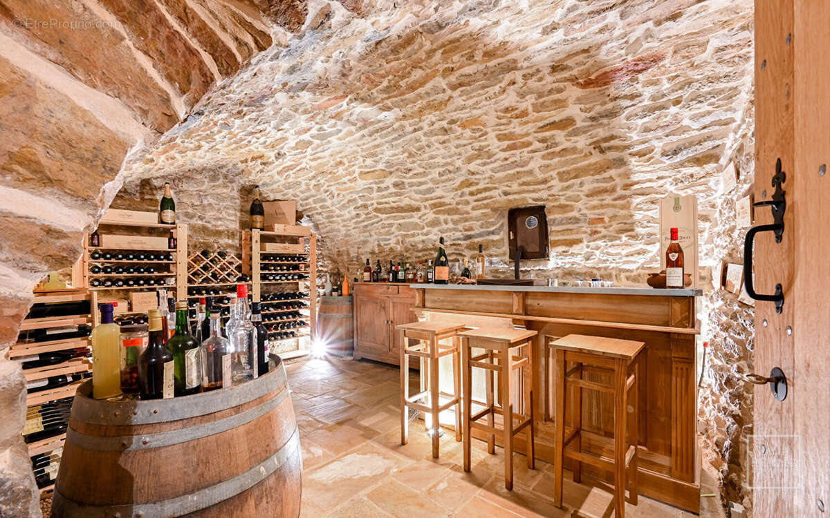 Maison à SAINT-DIDIER-AU-MONT-D&#039;OR