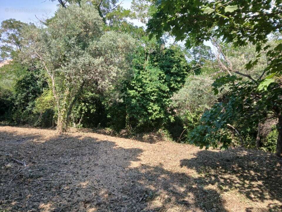 Terrain 1193 m² à Saint-Savournin  - photo 4