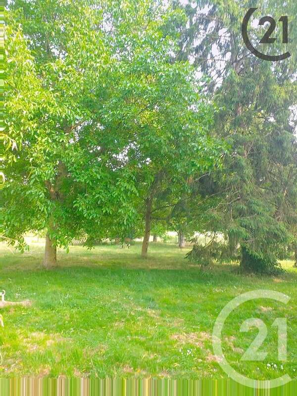 Maison à CHAMBEUGLE