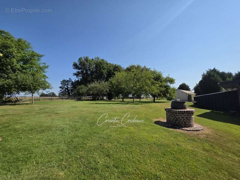 Maison de caractère en brique et silex – XIXe siècle – Environ 193 m² habitables – Terrain de 3 200 m² - photo 33