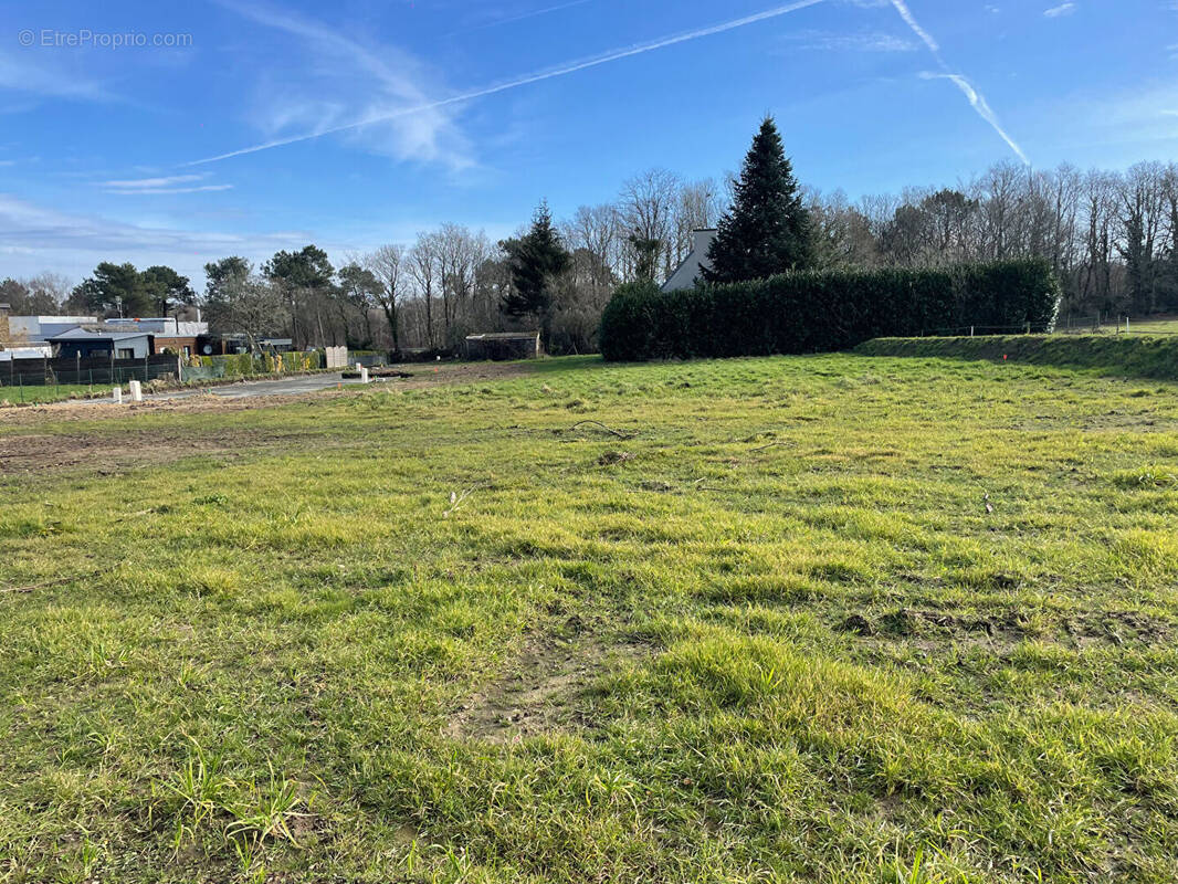 Terrain à PLEUVEN