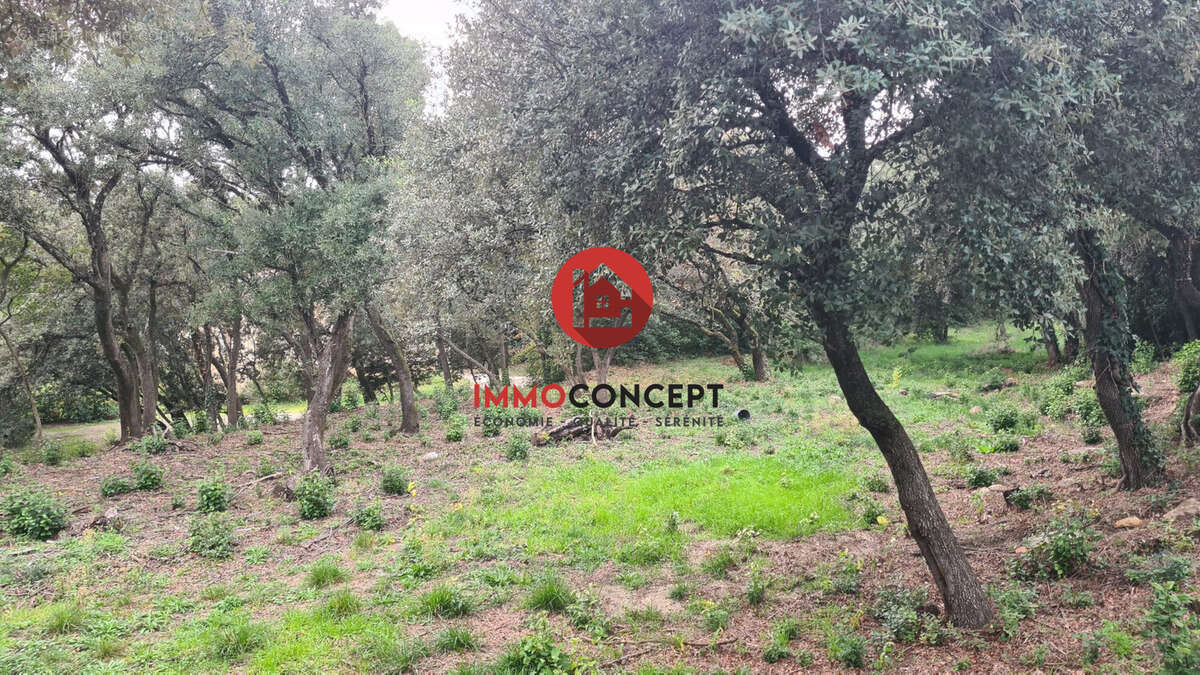 Terrain à MONTFAUCON