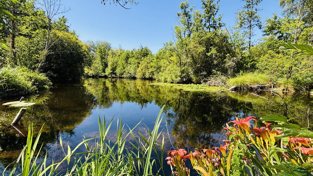 Maison à CHATEAUDUN