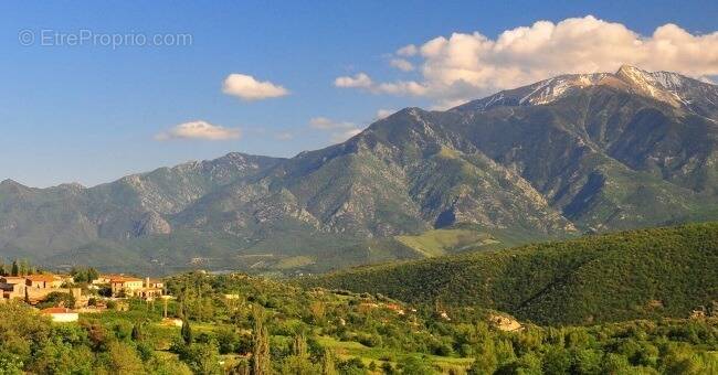 Terrain à MOLITG-LES-BAINS
