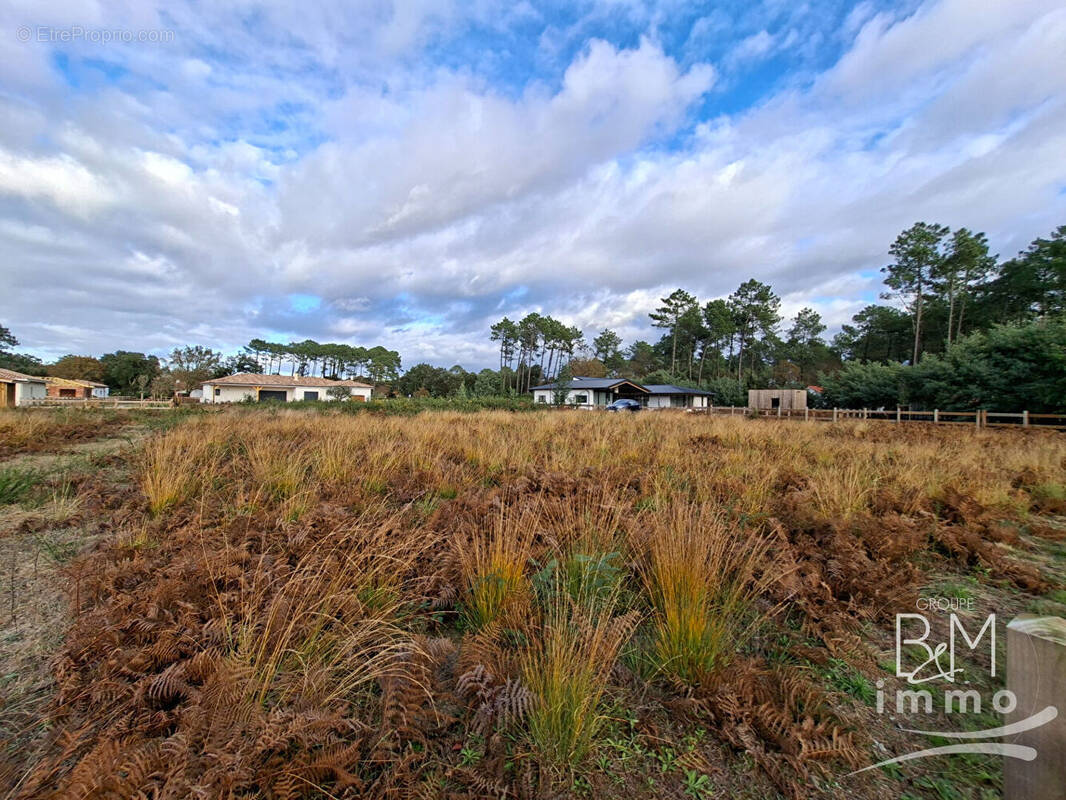 Terrain à MOLIETS-ET-MAA