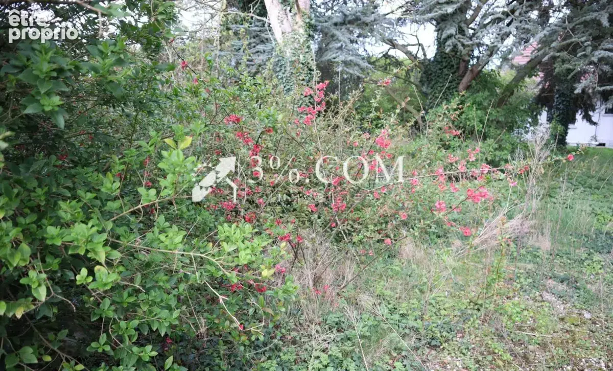 Terrain  506 m2 - 24 m de façade ! - photo 2