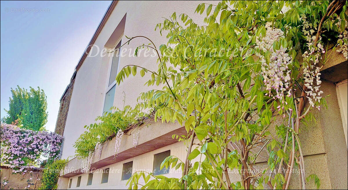 Maison à BONNOEUVRE