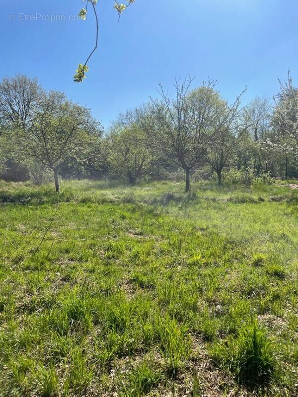 Terrain à MONNERVILLE