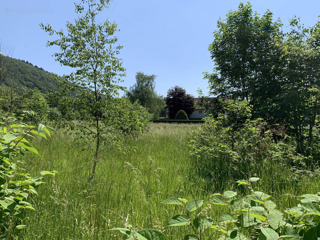 Terrain à PLANCHER-BAS