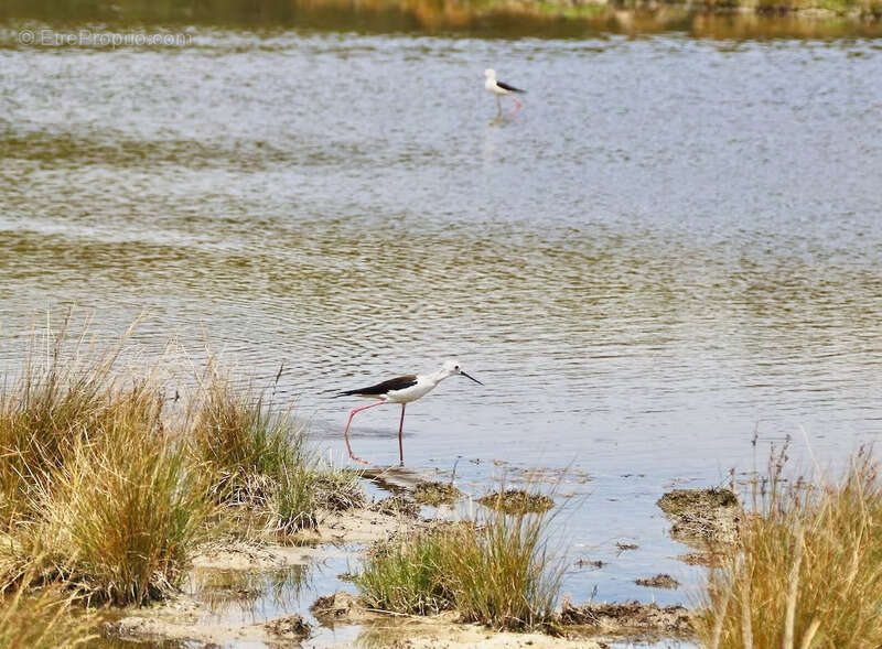 Maison à SAINT-GERVAIS