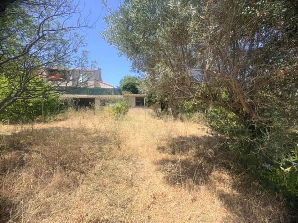 Terrain 341 m² à La Ciotat  - photo 4
