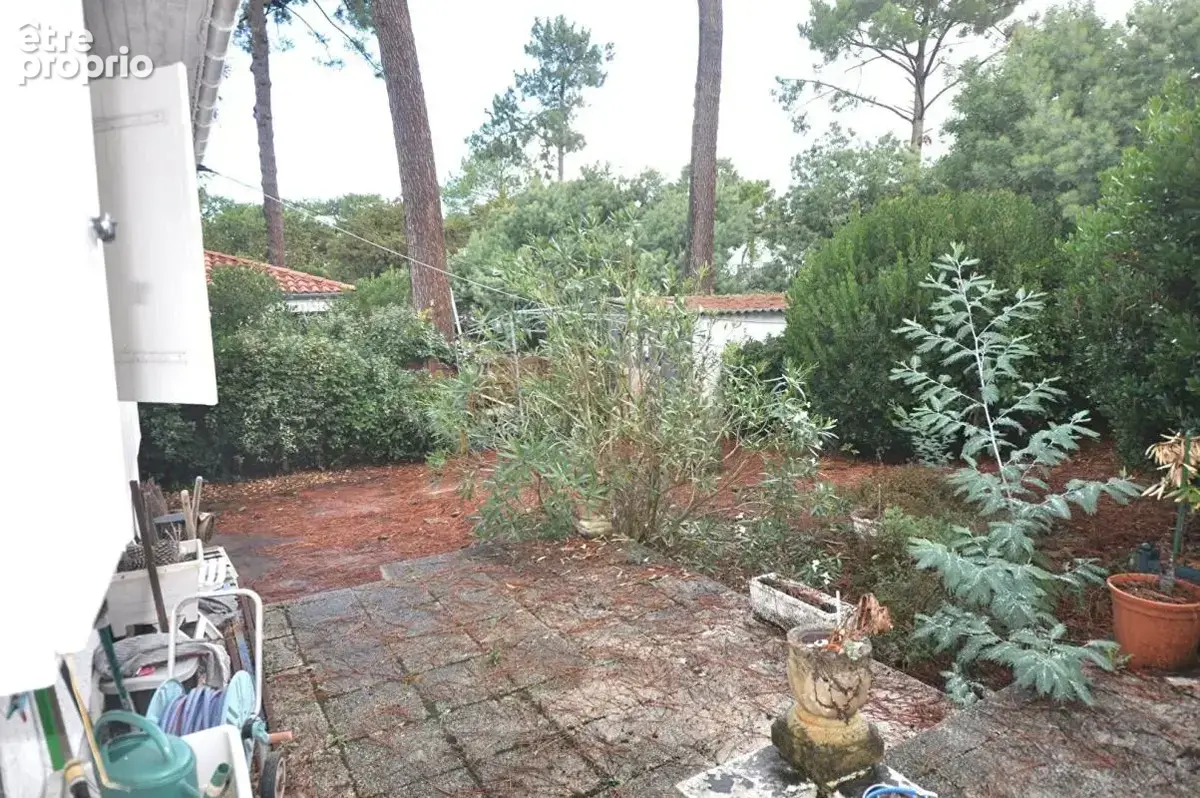 Terrain arcachon abatilles - photo 4