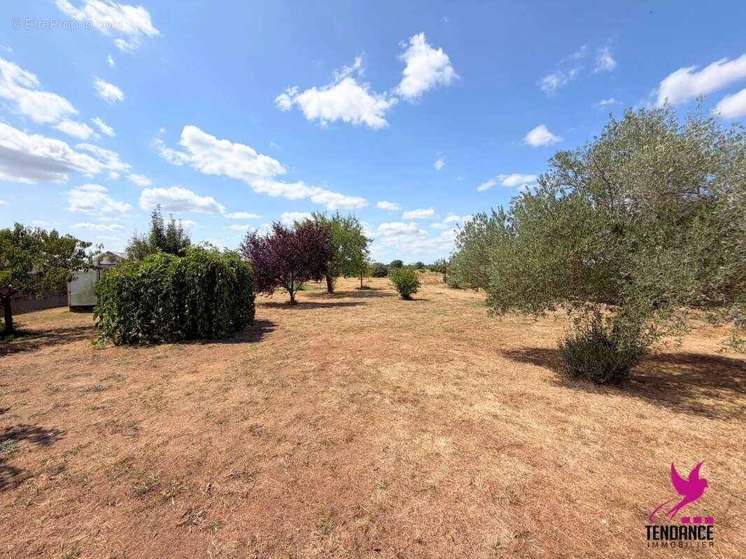 Villa de 200 m² sur 5 500 m² de terrain – potentiel de division - photo 17