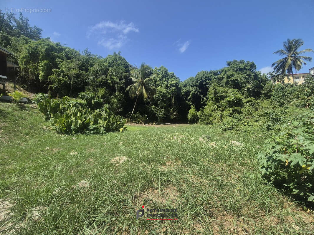 Terrain constructible LE GOSIER - photo 3