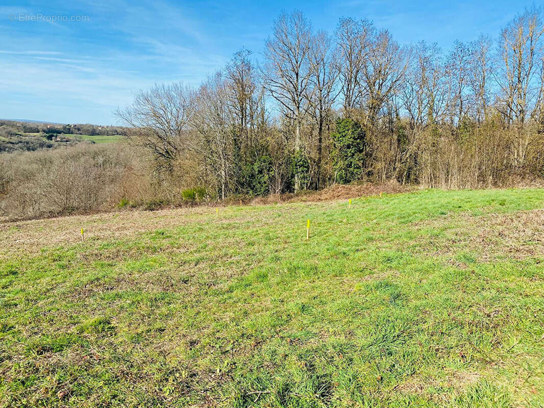Vue dominante pour ce beau terrain sur la commune de Planioles - photo 7